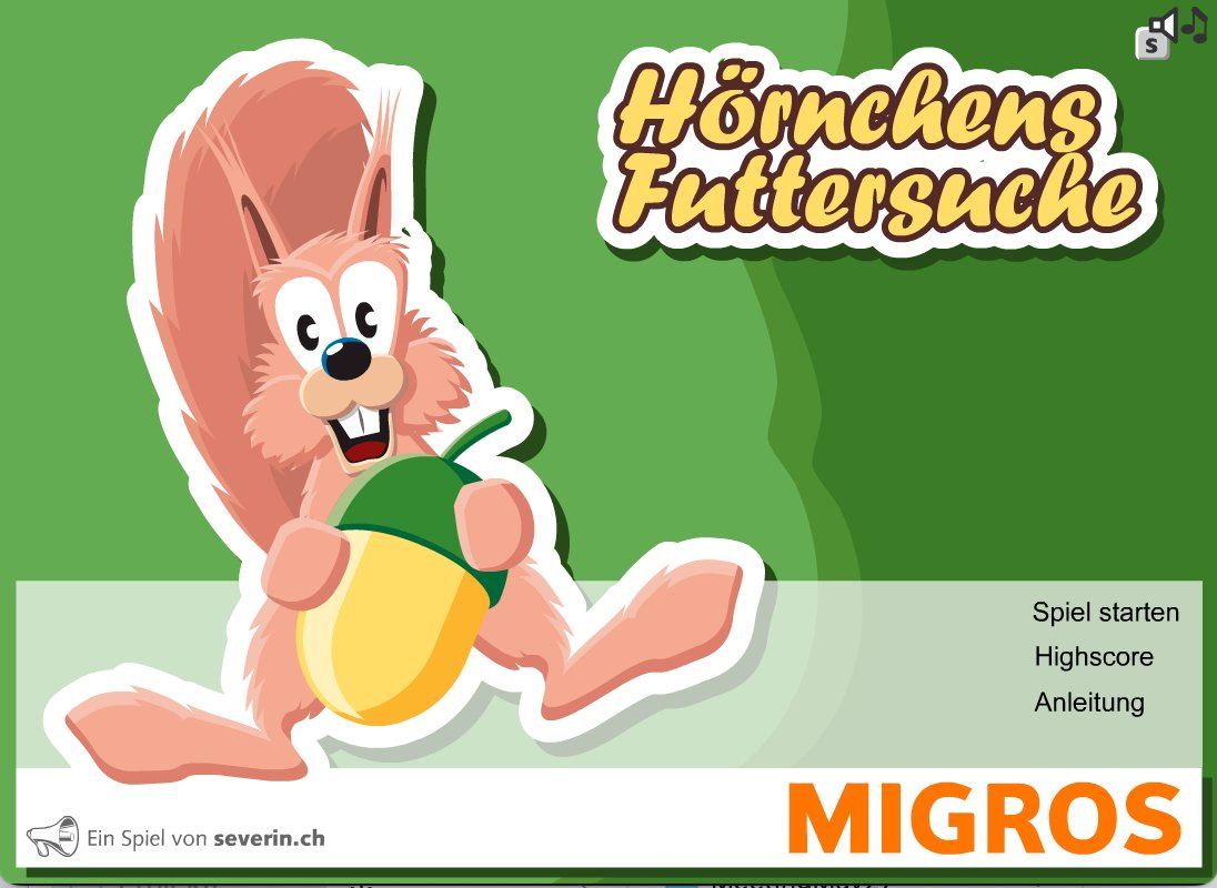 Hörnchens Futtersuche