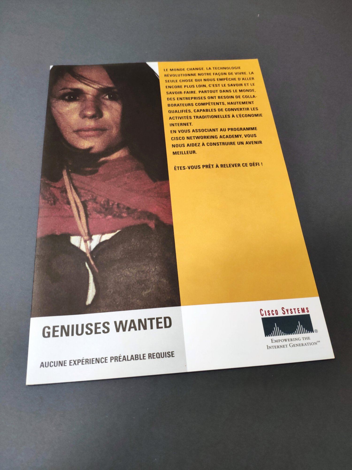 "Geniuses wanted"-Broschüre