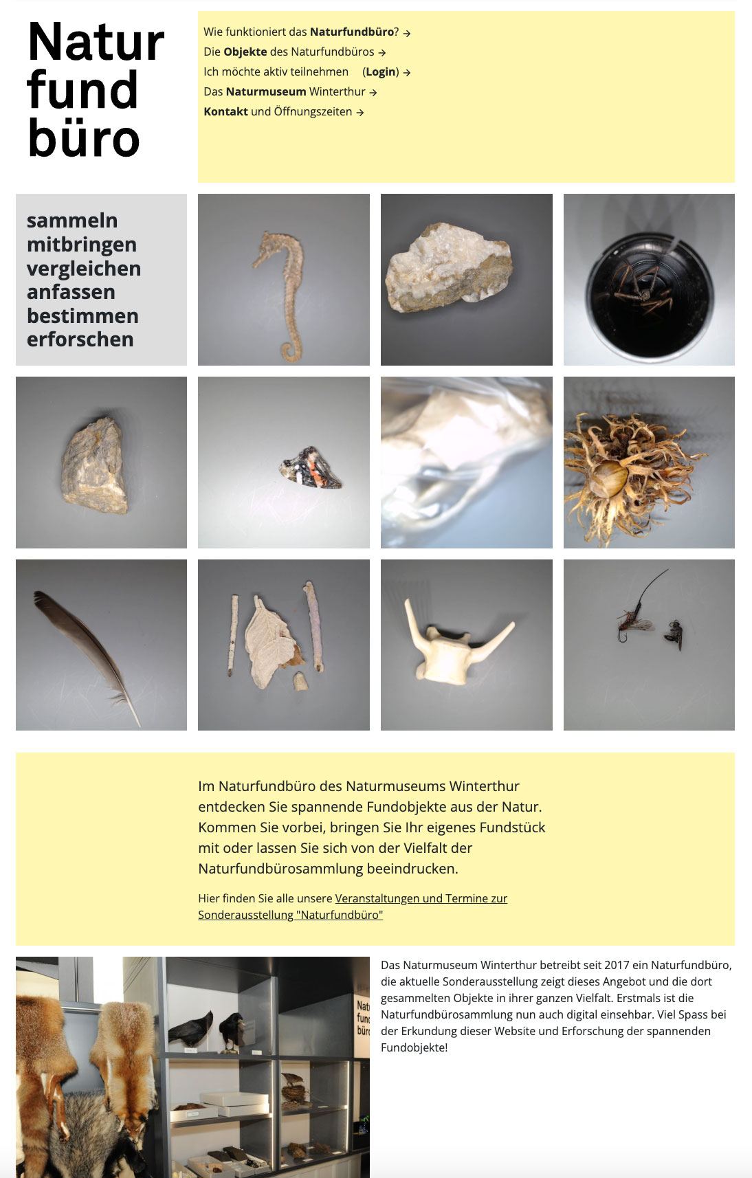 Webseite Naturfundbüro