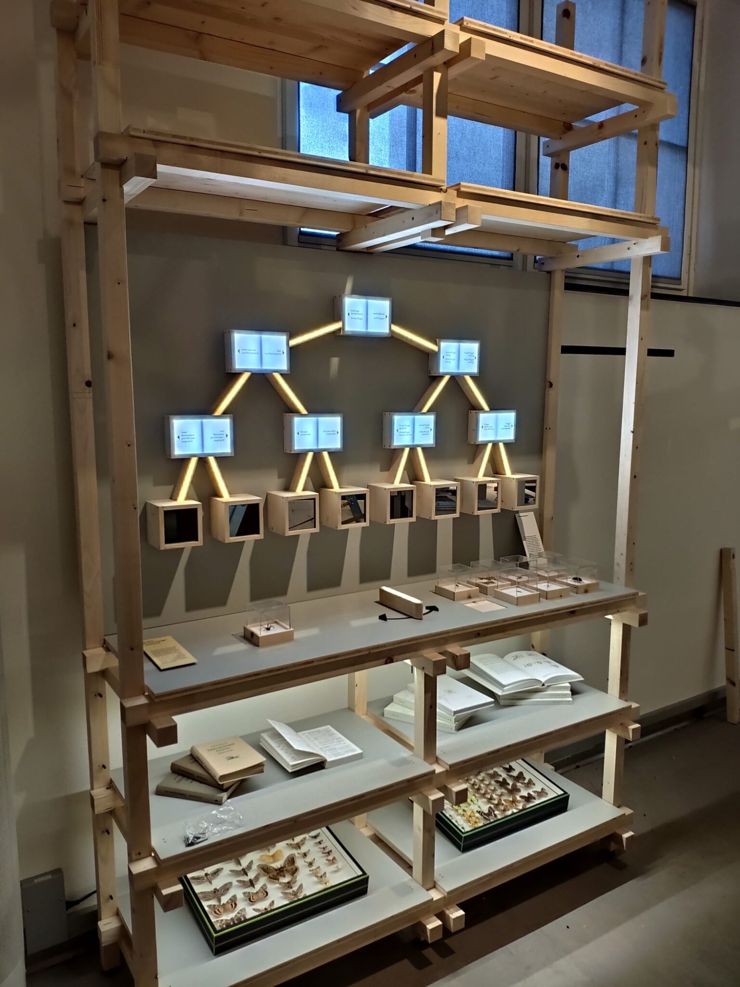 Exponat Bestimmungsschlüssel, Naturfundbüroausstellung, Naturmuseum Winterthur