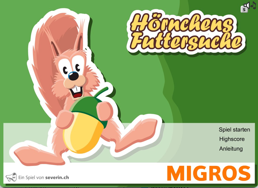 Hörnchens Futtersuche